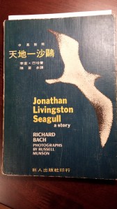 jonathan seagull photo